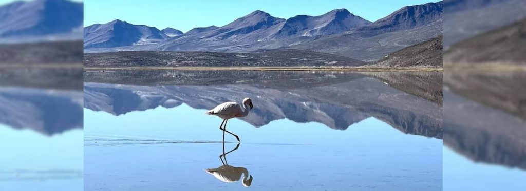 Lee más sobre el artículo SALINAS HUITO